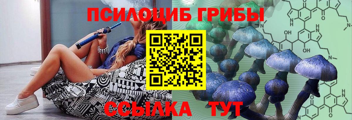 Псилоцибиновые грибы прущие грибы  где найти   Усть-Кут  Вход с VPN 